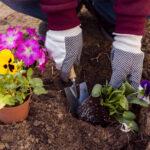 Small Chore – Big Impact! Recycling is a Family Affair