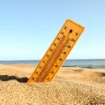 Early Morning Summer Guide